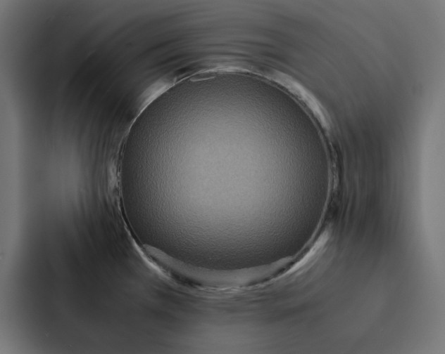 X0000087331385200705112148