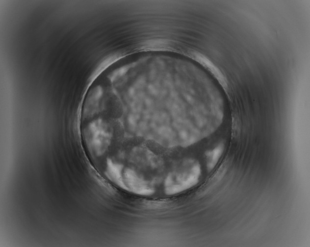 X0000087331386200705112148