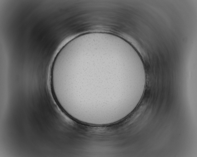 X0000087331387200705112148