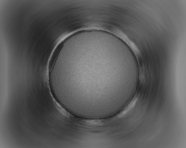 X0000087331388200705112148