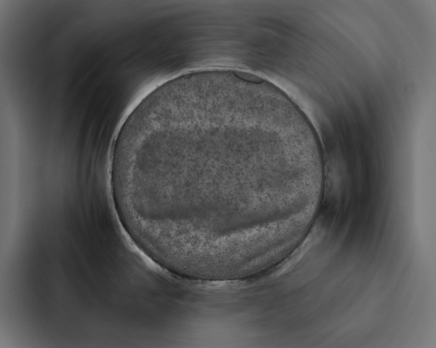 X0000087331390200705112148