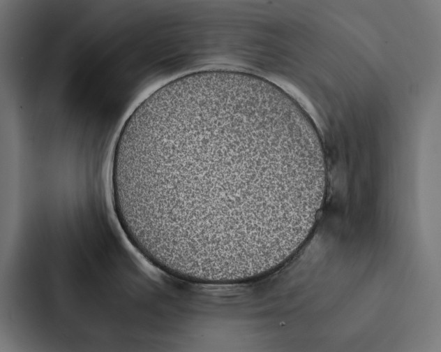 X0000087331391200705112148