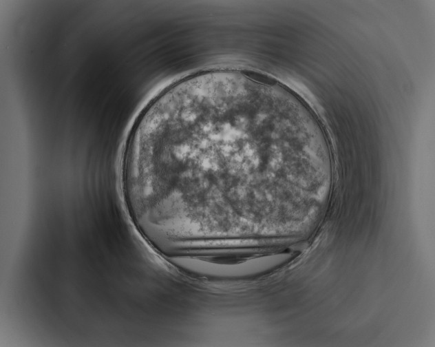 X0000087331392200705112148