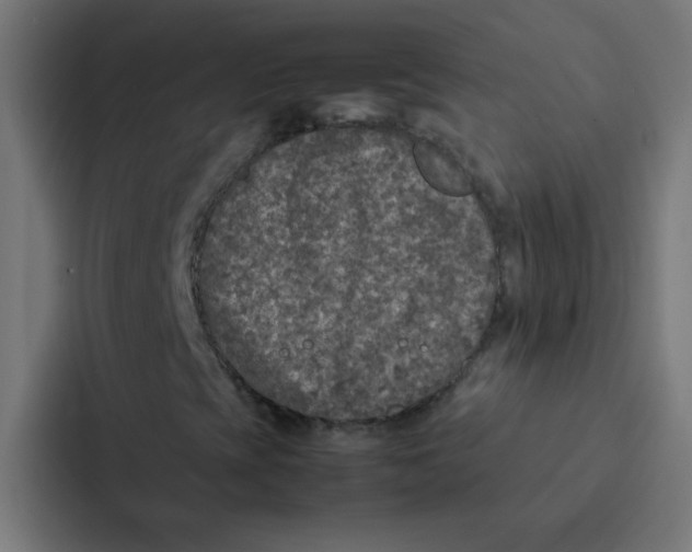 X0000087331393200705112147