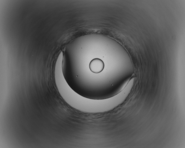 X0000087331394200705112147