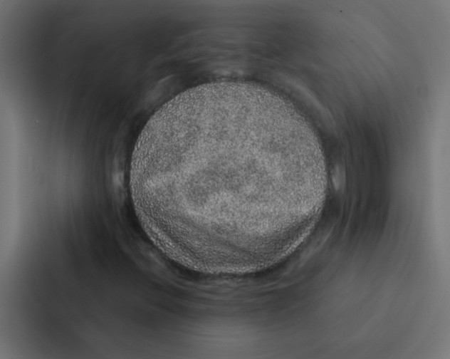 X0000087331396200705112147