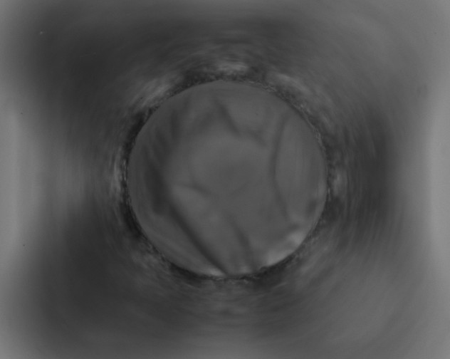 X0000087331397200705112147