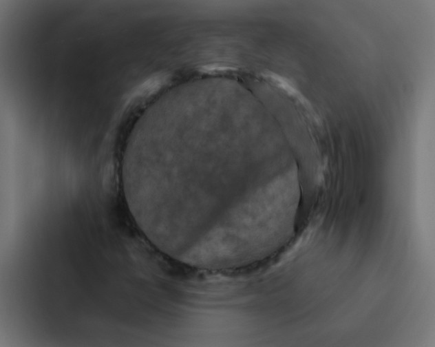 X0000087331398200705112147