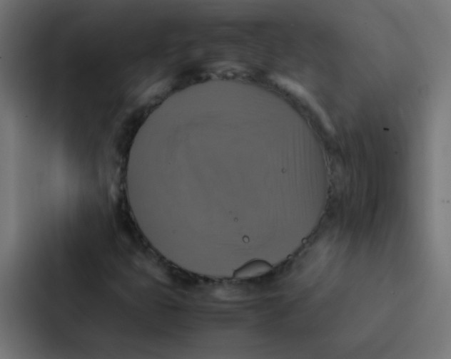 X0000087331399200705112147
