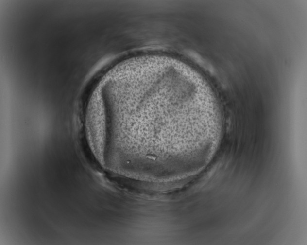 X0000087331400200705112147