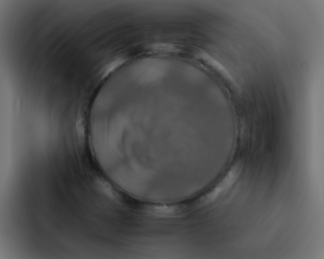 X0000087331401200705112147