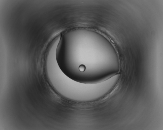 X0000087331402200705112147
