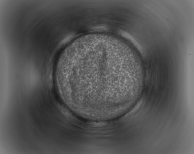 X0000087331403200705112147