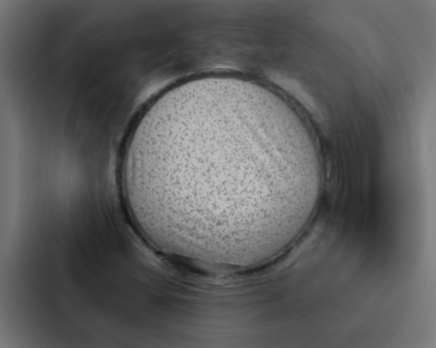 X0000087331404200705112147