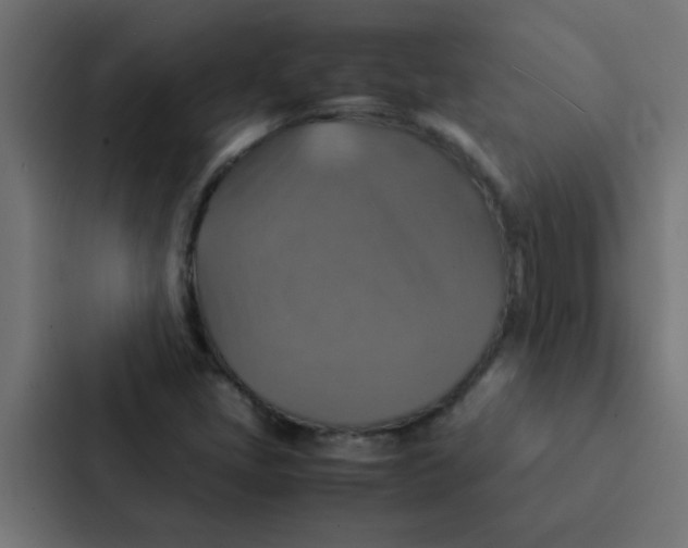 X0000087331405200705112147