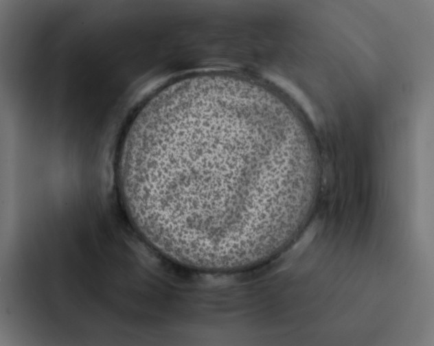 X0000087331407200705112148