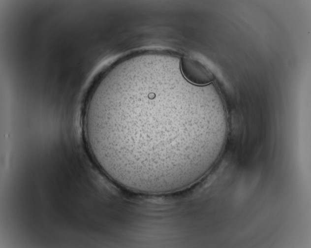 X0000087331408200705112148