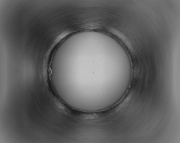 X0000087331410200705112148
