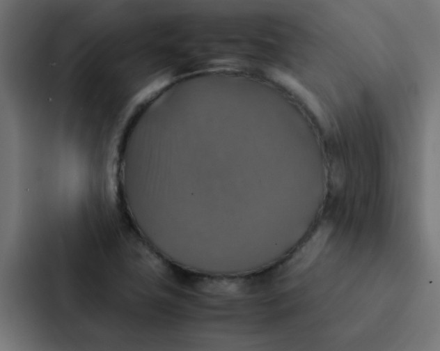 X0000087331411200705112148