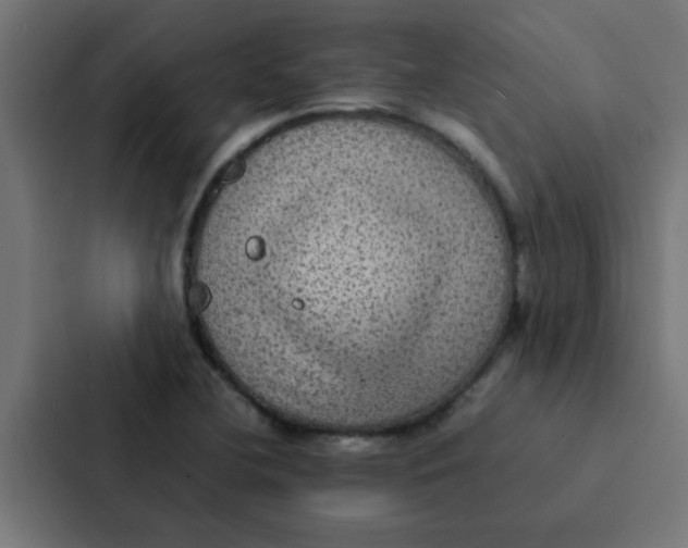 X0000087331412200705112148