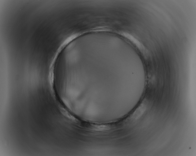X0000087331413200705112148