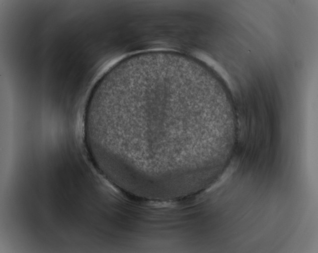 X0000087331415200705112148
