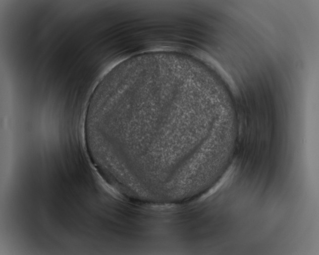 X0000087331417200705112148