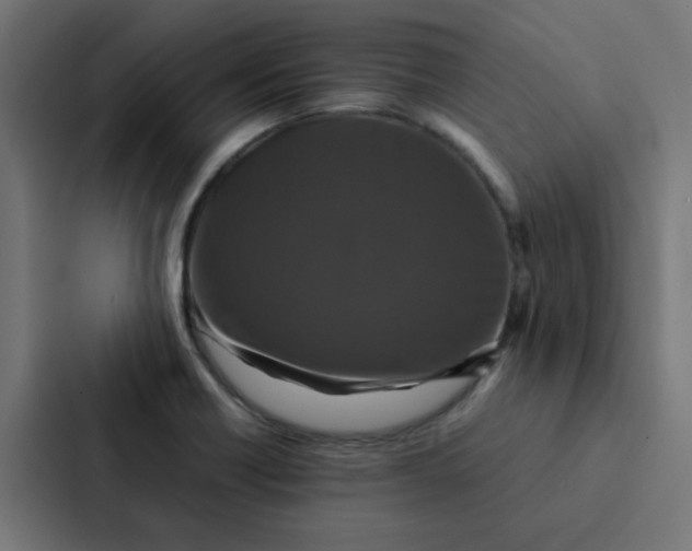 X0000087331418200705112148