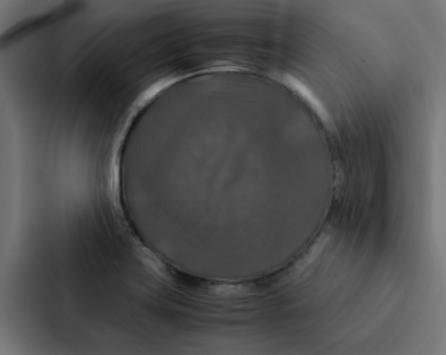 X0000087331419200705112148