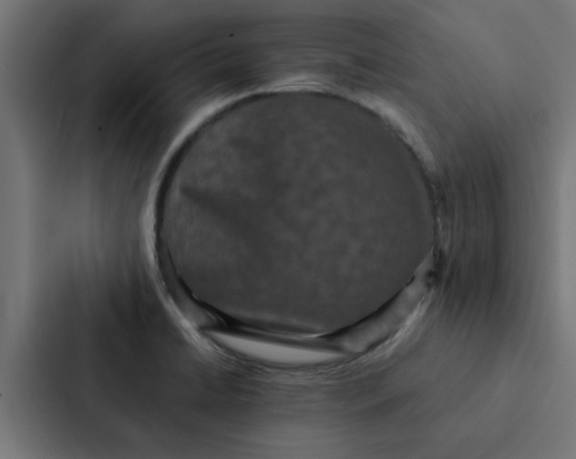 X0000087331422200705112148