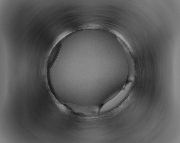 X0000087331426200705112148
