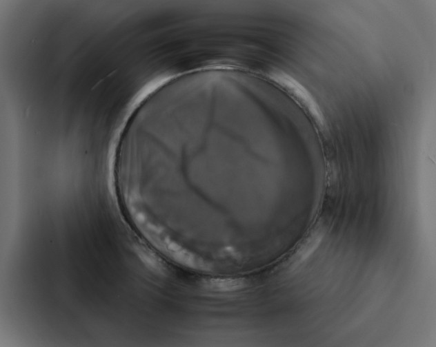 X0000087331427200705112148