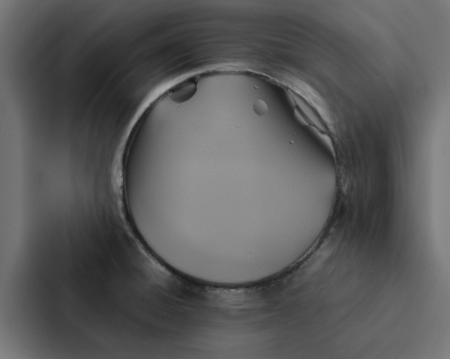 X0000087331428200705112148