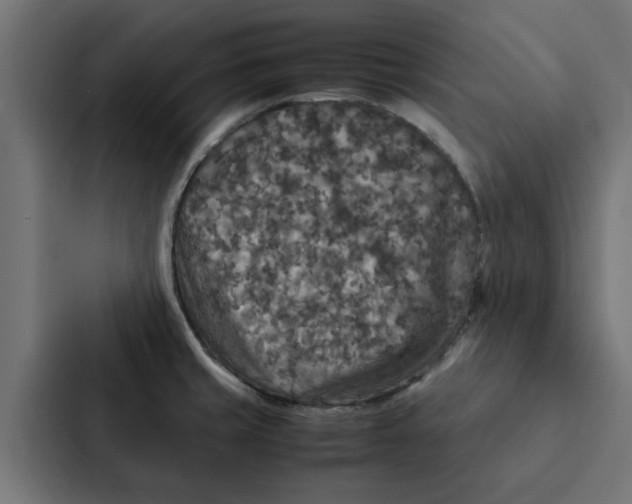 X0000087331429200705112148