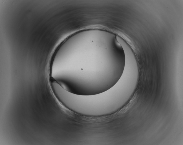 X0000087331430200705112148