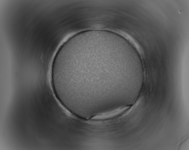 X0000087331432200705112148