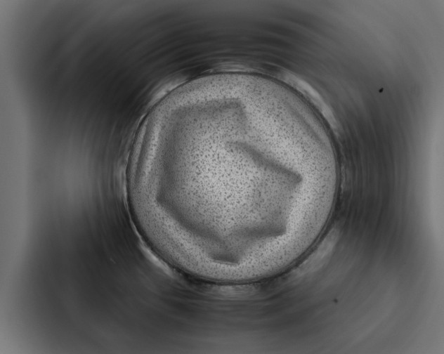 X0000087331433200705112148