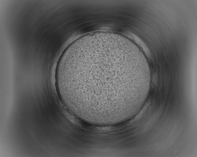X0000087331435200705112148
