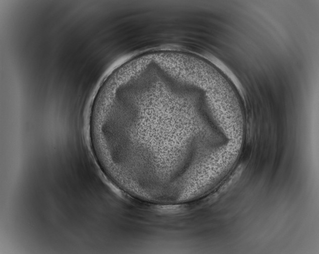 X0000087331437200705112148