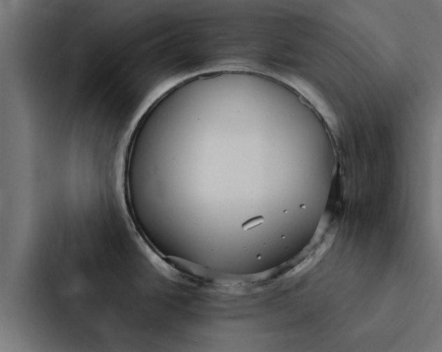 X0000087331438200705112148