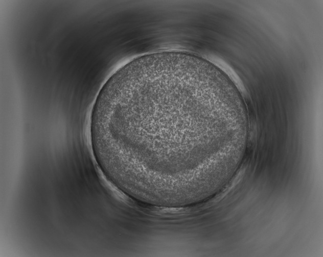 X0000087331439200705112148