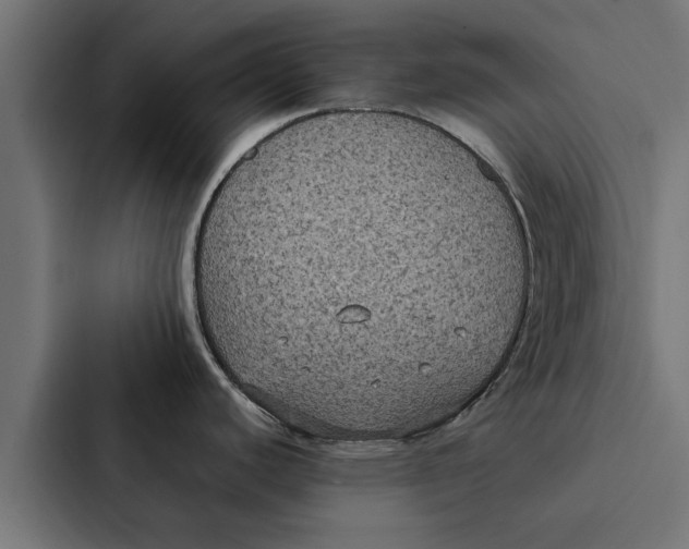 X0000087331440200705112148