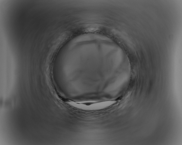 X0000087331441200705112147