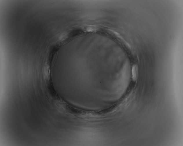 X0000087331443200705112147