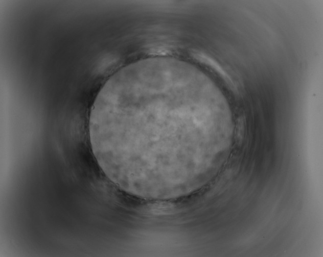 X0000087331446200705112147