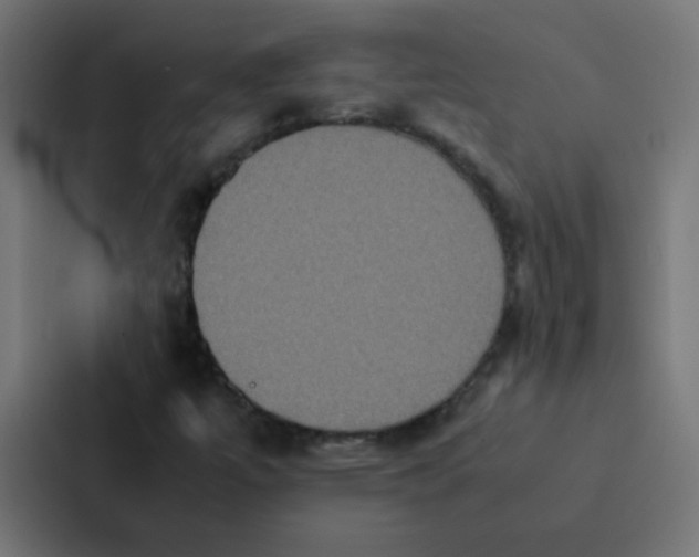 X0000087331447200705112147