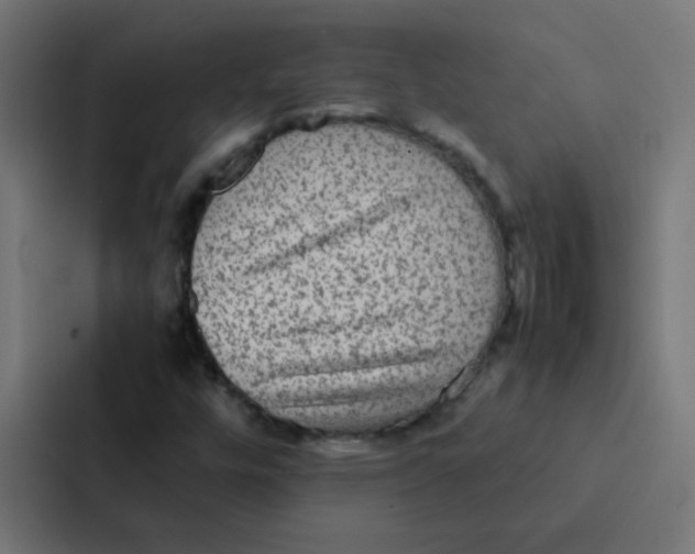 X0000087331448200705112147