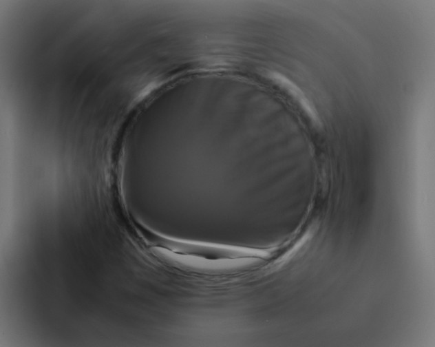 X0000087331449200705112147