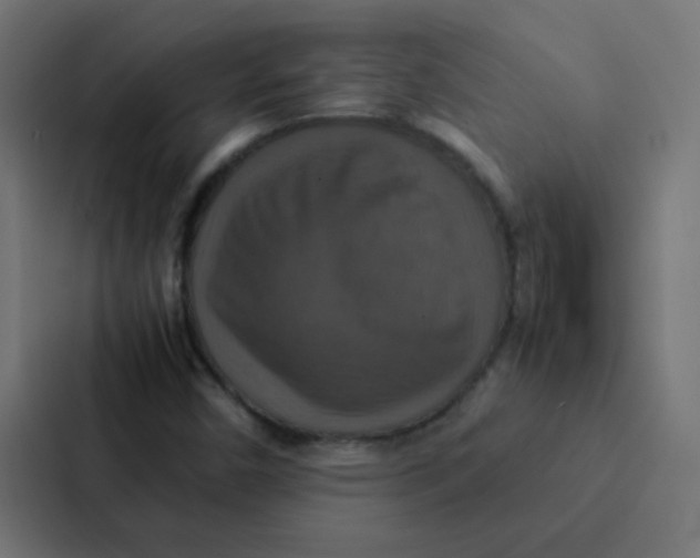 X0000087331450200705112147