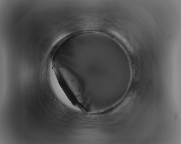 X0000087331453200705112147